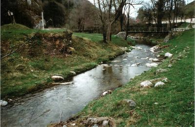 Scenic view of river