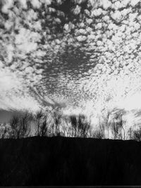 Trees on landscape against cloudy sky