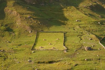 Field on the side of mountain