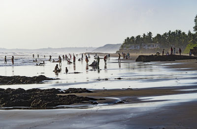 Scenic view of beach against clear sky