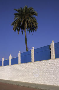 Low angle view of palm trees against clear blue sky