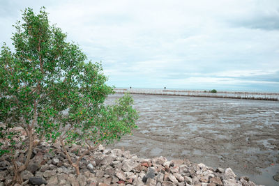 Scenic view of beach against sky