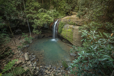 High angle view of waterfall in forest