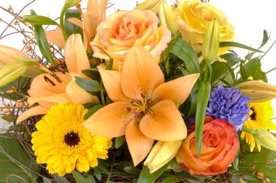 Close-up of yellow flowers