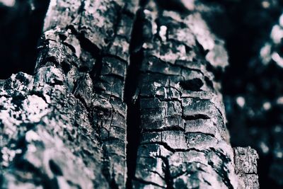 Close-up of stack of firewood