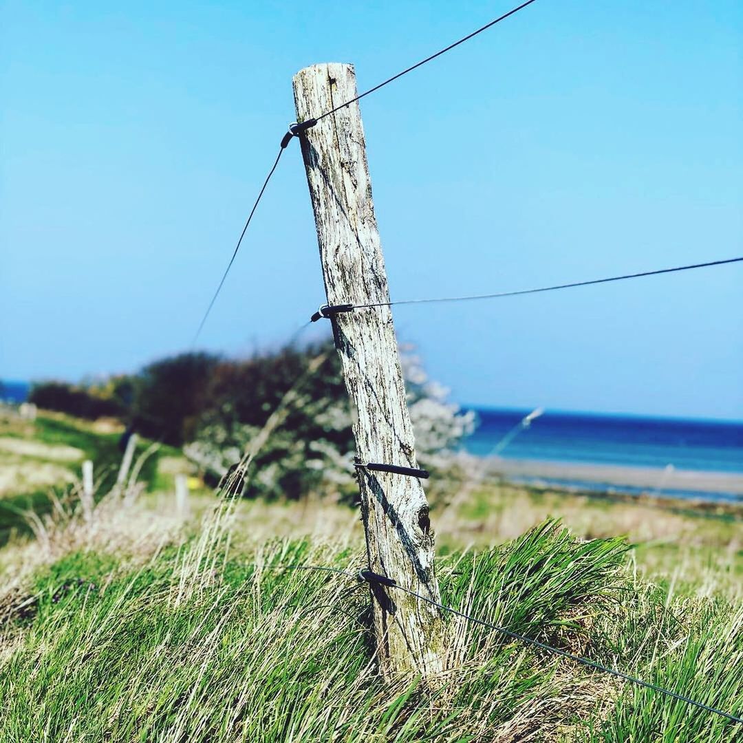 plant, grass, sky, land, nature, day, no people, focus on foreground, field, tranquility, wood - material, tree, water, growth, sea, outdoors, beauty in nature, horizon, blue, green color, wooden post