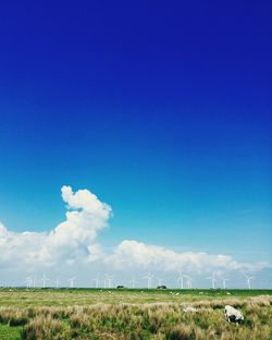 Scenic view of field against blue sky