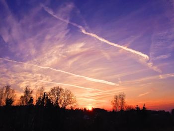 Silhouette trees against sky during sunset