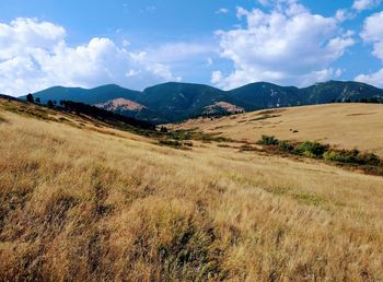 Scenic view of landscape against sky