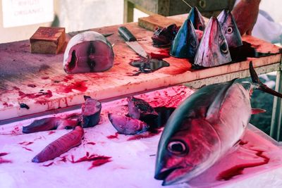 High angle view of fish on table