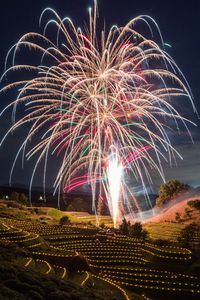 Low angle view of firework display at night