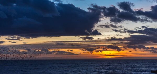 Scenic view of sea against cloudy sky at sunset