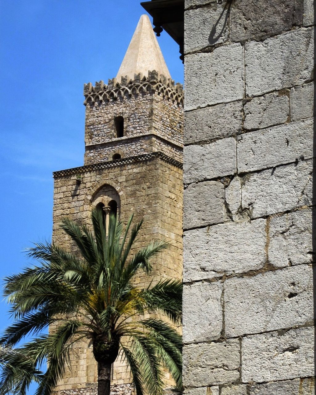 architecture, built structure, building exterior, tree, plant, the past, no people, low angle view, palm tree, history, building, sky, nature, tower, tropical climate, religion, day, spirituality, wall, belief, outdoors, stone wall