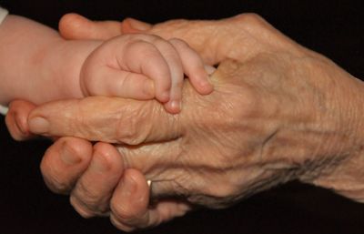 Close-up of cropped hand holding white surface