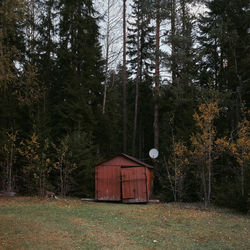 House amidst trees and plants on field in forest