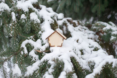 Toy house on snow fir tree, outdoor, winter home