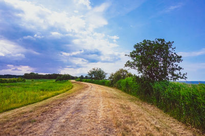 Dirt road amidst plants on field against sky