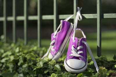 Close-up of pink shoes hanging on metal fence