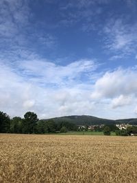 Scenic view of agricultural field against sky