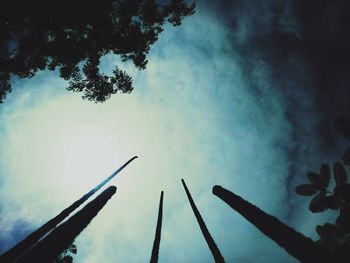 Low angle view of silhouette trees against sky