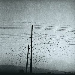 Close-up of power lines