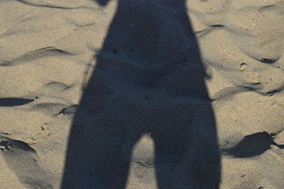 Shadow of people on beach