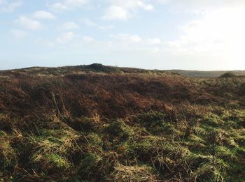 Scenic view of field against sky