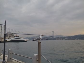 View of suspension bridge in city