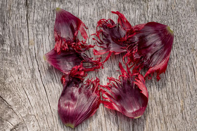 High angle view of red chili peppers on table
