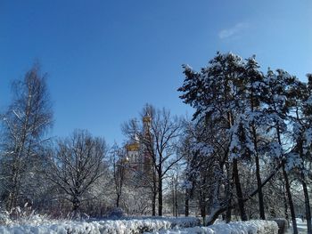 Bare trees on snow covered landscape