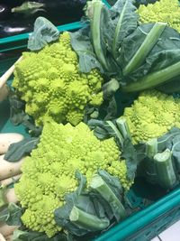 High angle view of vegetables for sale at market stall