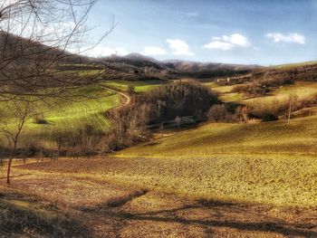 Scenic view of landscape against sky