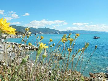 Scenic view of sea against blue sky