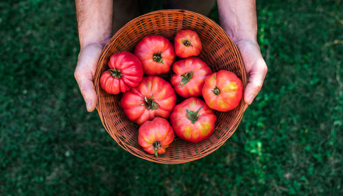 High angle view of hand holding strawberries in basket