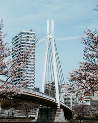 Low angle view of bridge against sky