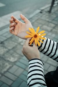 Cropped hands of woman holding yellow flower