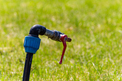 Closed watering tap on the background of a green lawn.