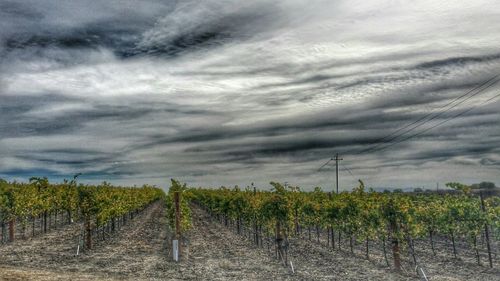 Scenic view of field against dramatic sky