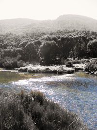 Scenic view of landscape against clear sky