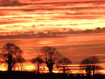 Silhouette trees against dramatic sky during sunset