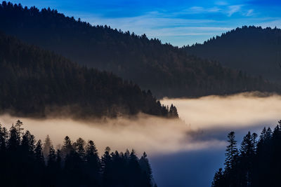 Silhouette trees by mountains against sky