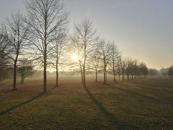 Trees on field against sky during sunset