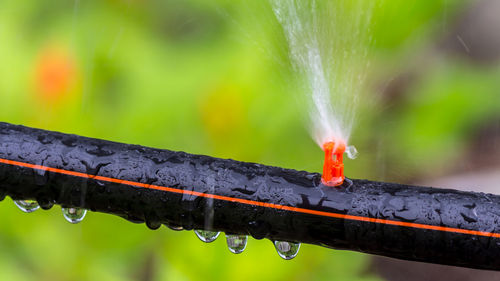 Close-up of water drops on metal pipe