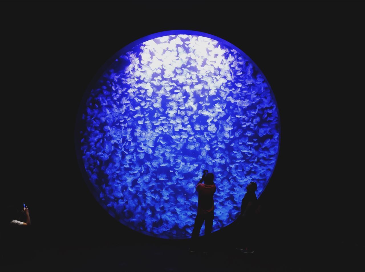 CLOSE-UP OF ILLUMINATED BLUE LIGHTS AGAINST MOON