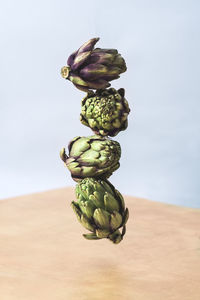 Close-up of pine cone on table