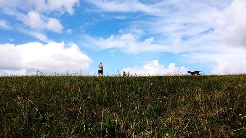 Scenic view of grassy field against cloudy sky