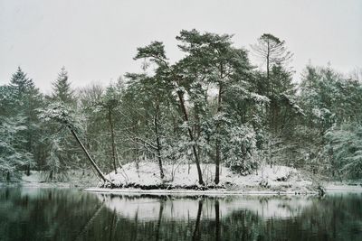 Scenic view of lake by trees in forest against sky