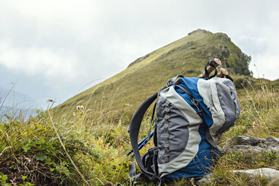 Large gray blue hiking backpack, trekking poles among plants on background of mountain peak hiking