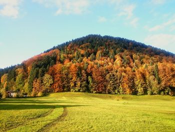 Lawn by mountain peak with trees against cloudy sky