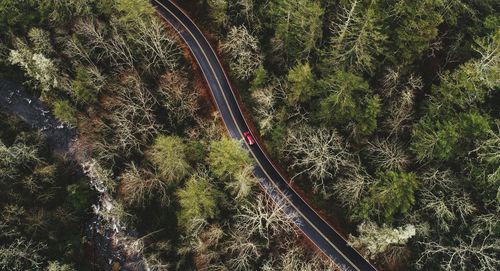 Aerial view of car on road amidst trees